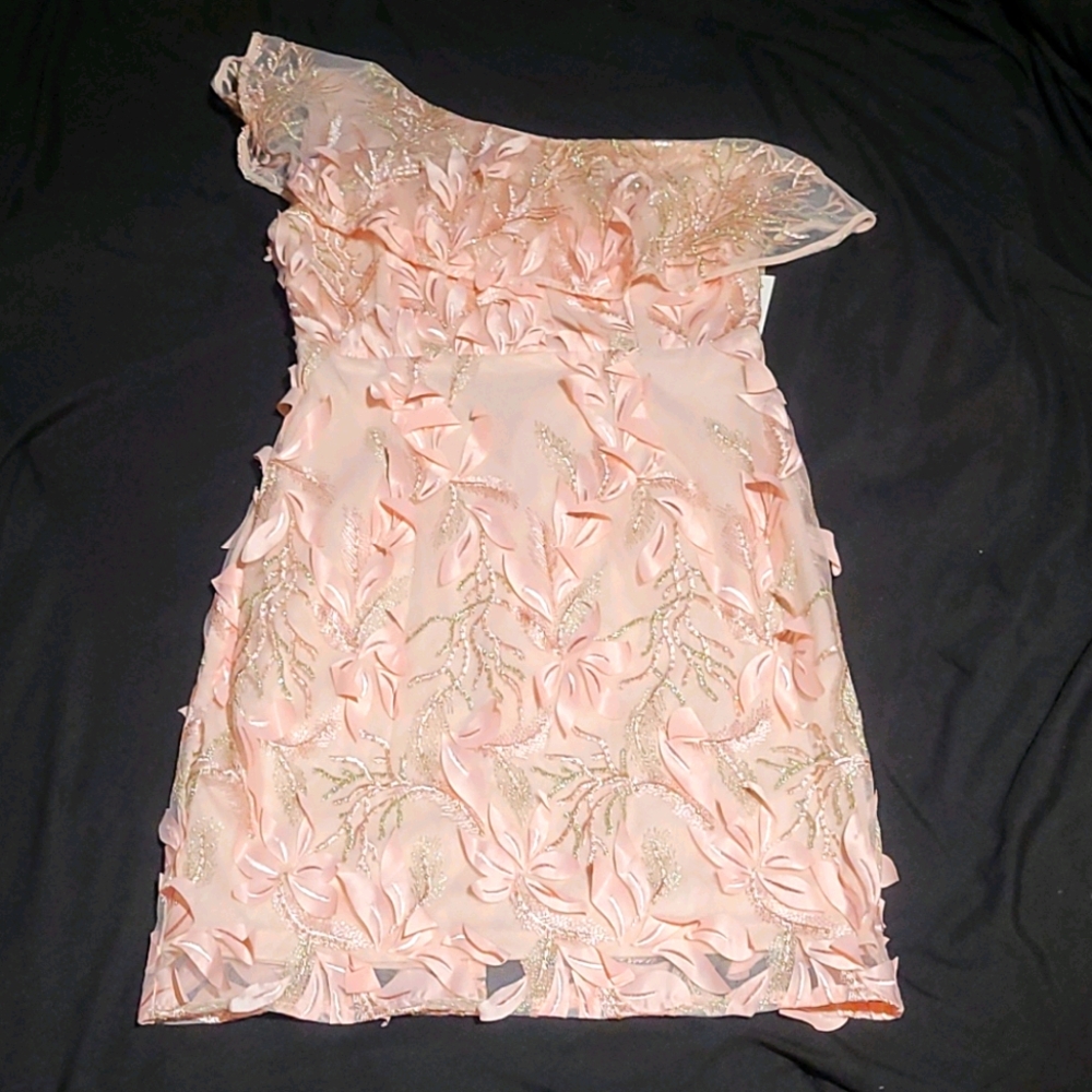 Forever 21 dress